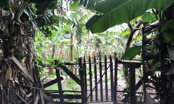 Imagem 5: Casa a Venda (ACEITAMOS OFERTAS