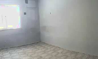 Imagem 4: Eucalipto - 2/4 - Térreo - Sombra