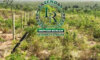 Imagem: Fazenda 317 alqueires Plana