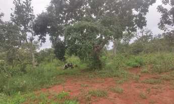 Imagem 7: Vendo ótima chácara no assentamento pequeno willian