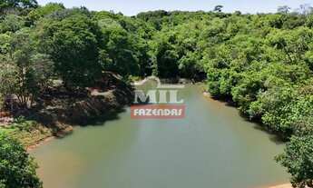 Imagem 3: Excelente Chácara 3 alqueires ( 14.52 hectares ) Bela Vista de Goiás