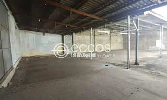 Imagem 6: Galpão para aluguel, Martins - Uberlândia/MG