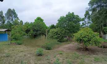 Imagem 3: 230 mil reais chacara urbana pomar produzindo