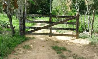 Imagem 5: Venda-se está propriedade de 7,5 alqueires e meio no Município de presidente Kennedy/ES