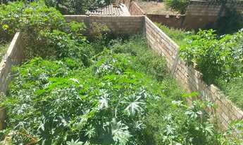 Imagem 5: Casa a venda no bairro Lima Dias!