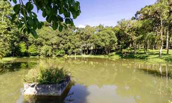 Imagem: Sítio com 10 Alqueires a 30 Min de Curitiba