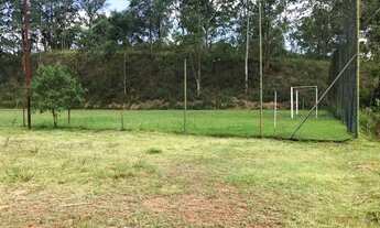 Imagem 6: AREA - LARANJA AZEDA - SP