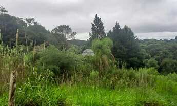 Imagem 3: Vendas Área Colombo PR