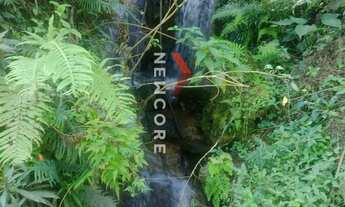 Imagem: Sítio em Ribeira - Centro - Ribeira/SP