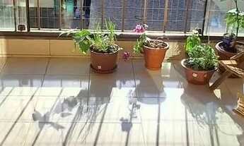 Imagem 4: Apartamento com 03 quartos e 01 vaga escriturada no Bairro Tristeza