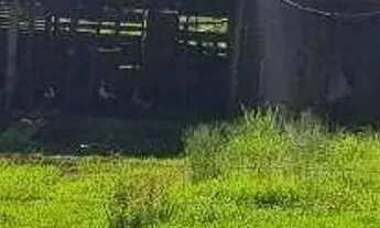 Imagem 4: Chácara à venda em Boa Vista da Aparecida