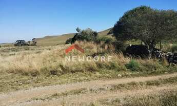 Imagem 6: Lote em Estrada Faz do Baú -juá - Interior - São Francisco de Paula/RS
