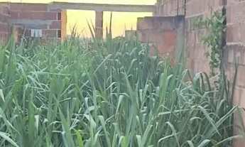 Imagem 5: Vendo terreno em Campo Grande ( centro ) condomínio fechado