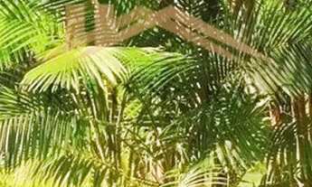 Imagem 3: Casa à venda em condomínio de Luxo na praia de Juquehy com 4 quartos e piscina