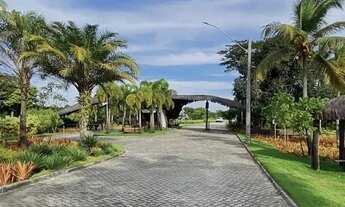 Imagem 5: Lote em condomínio fechado de luxo em Belmonte, Bahia