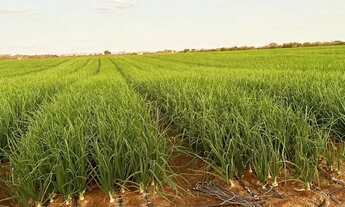 Imagem: Fazenda em Varzea Nova
