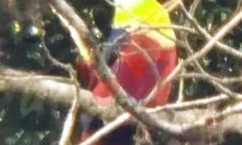 Imagem 3: Chácara com 3 dormitórios à venda,5000.00 m , Recreio da Serra, PIRAQUARA - PR