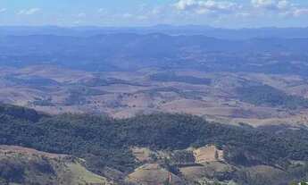 Imagem 5: Poucos terrenos, muita procura Rota do Vinho