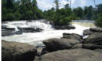 Imagem: Terreno 15 x 30 metros, Floriza, Esquina