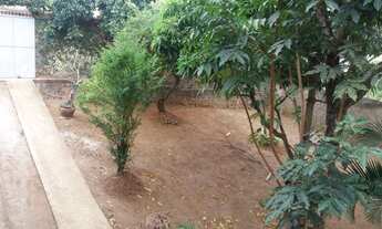 Imagem: Aluga casa Timbaúba PE