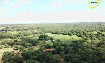 Imagem 5: Fazenda- 681 hectares- São João da Aliança ? Goiás