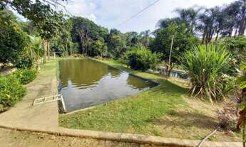 Imagem 3: SÍTIO DE CAFÉ ABUNDANTE EM RECURSOS NATURAIS