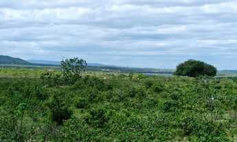 Imagem 7: Oportunidade. Terreno com excelente localização. Água por gravidade. 3,5 tarefas