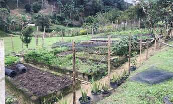 Imagem 4: VENDE-SE CHÁCARA EM MEIO A UM PARQUE DE ÁGUAS, NA CIDADE DE JUQUITIBA - SP