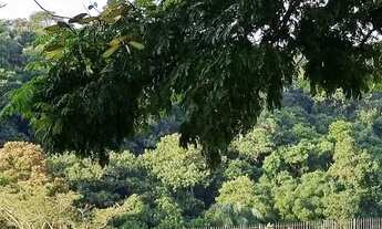 Imagem 6: Terreno 691m2 na melhor localização do Burle Marx