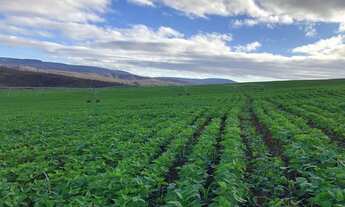 Imagem 7: Fazenda/Sítio/Chácara para venda possui 9260000 metros quadrados com 3 quartos