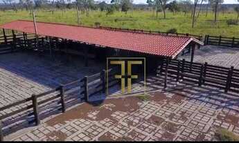 Imagem 3: Fazenda 4926 Alqueires, Santíssima Trindade, MT