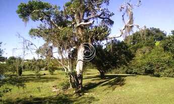 Imagem 6: FLORIANóPOLIS - Terreno Padrão - Canasvieiras