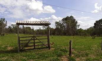 Imagem: Terreno rural com 23.000m² (2,32ha) em