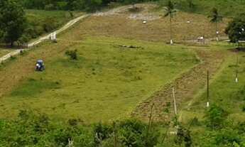 Imagem 5: Vendo fazenda em Dias Davila