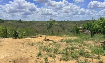 Imagem 6: Sítio perto da barragem da Cidade de carpina