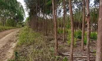 Imagem 4: Ágio chácara no Santo Antônio