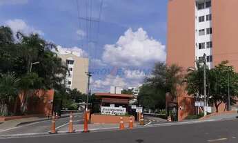 Imagem: Apartamento - Parque Camélias - Campinas