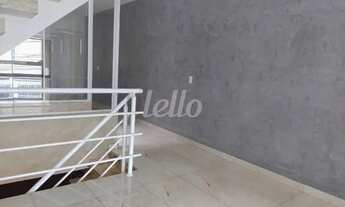 Imagem 2: São Paulo - Casa Padrão - Vila Clementino