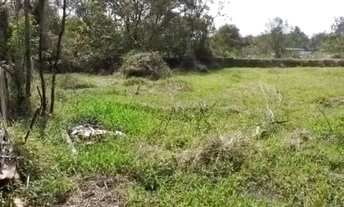 Imagem 2: TERRENO 7.200m2 EM DISTRITO INDUSTRIAL