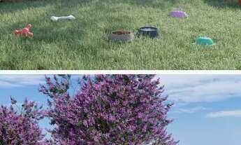 Imagem 5: VIVA VIDA RIO AMAZONAS