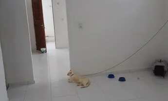 Imagem 4: Oferta!! Casa Para Venda com Exelente Locaçização em Neopolis