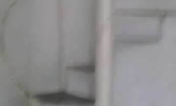 Imagem 2: Casa pra alugar Casa com 1 dormitório