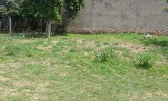 Imagem: Terreno Apolônio Sales (BAIXOU O PREÇO