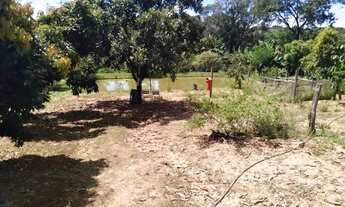 Imagem 5: Sítio no Sul de Minas Gerais