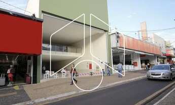 Imagem: Comercial Galpão/Barracão em Marília