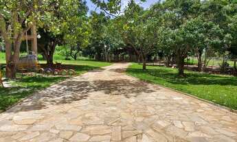 Imagem 7: CHÁCARA DE 8 MIL METROS EM PONTE ALTA - GAMA-DF