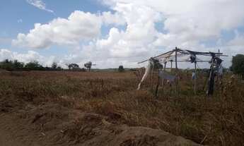 Imagem 5: Terreno ao lado a praia bela