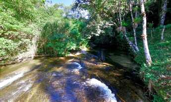 Imagem 2: Vendo chácara localizada no Sertão dos Coqueiros