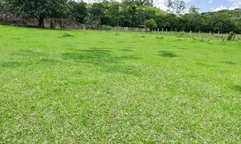 Imagem 7: PA - terreno com ótima topografia!!!