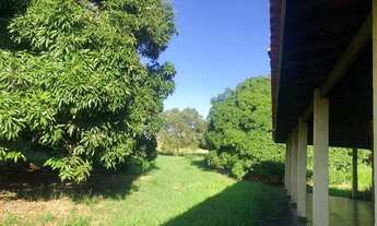 Imagem 2: SITIO COM 10 ALQ. - LINDO ! MONTADO , NA BEIRA DA PISTA , CULTURA E PECUÁRIA - AURIFLAMA